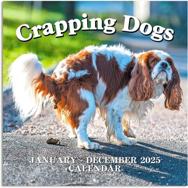 2025 Pooping Dogs Wall Calendar - Funny Gag Gift for Friends