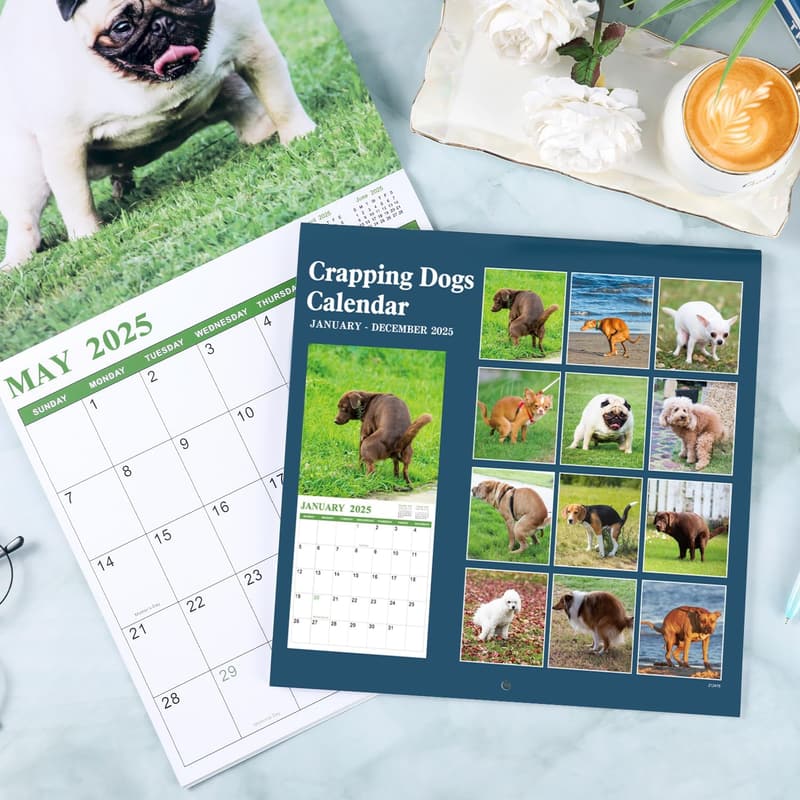 2025 Pooping Dogs Wall Calendar - Funny Gag Gift for Friends