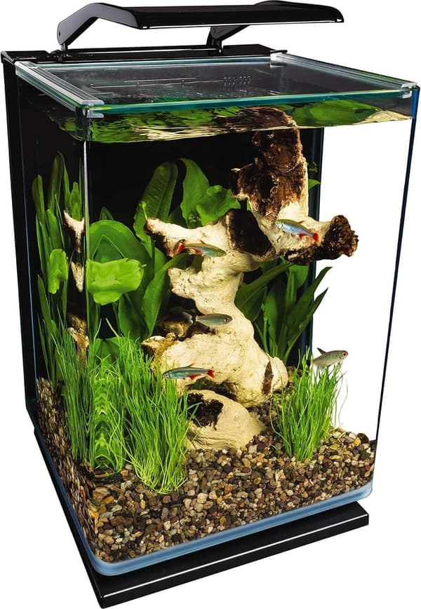 5-Gallon Marineland LED Aquarium Kit with Hidden Filtration
