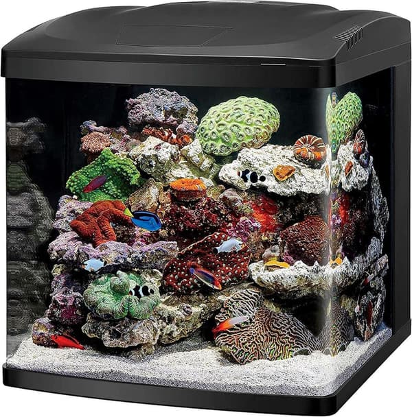 32 Gallon BioCube LED Aquarium Kit for Saltwater & Marine Life