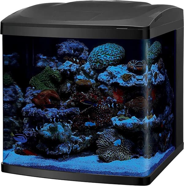 32 Gallon BioCube LED Aquarium Kit for Saltwater & Marine Life