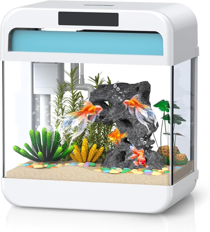 2.2 Gallon Fish Bowl with Adjustable Lighting & Silent Pump