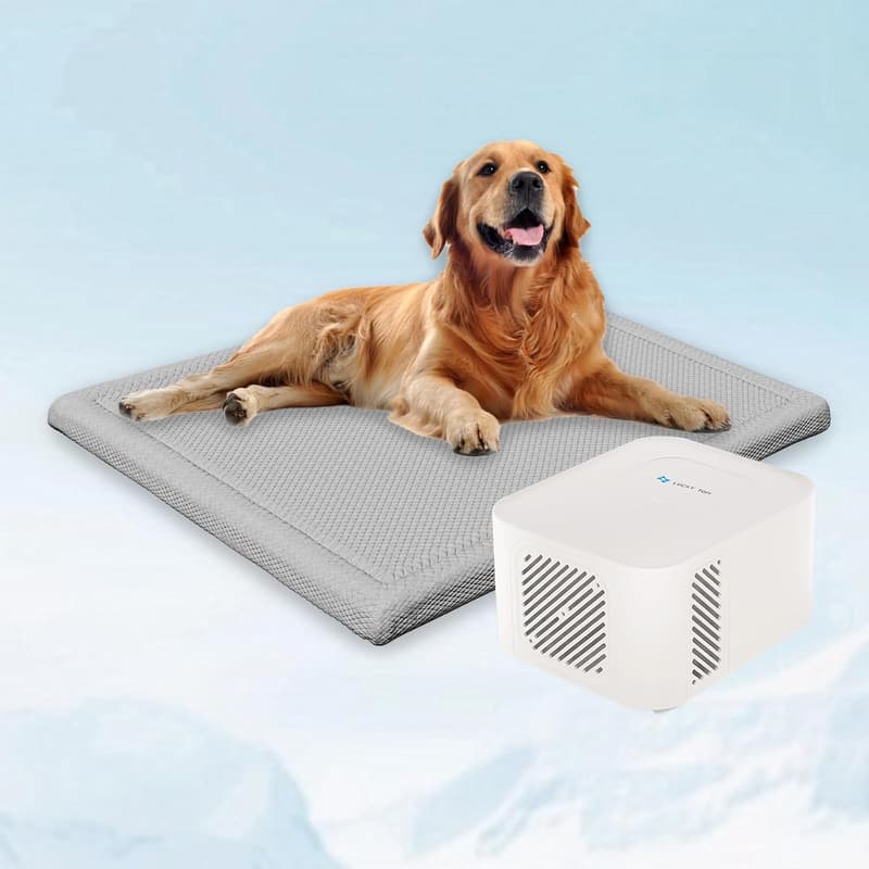 Summer Cooling Mat for Pets - XL Machine Washable Water Pad