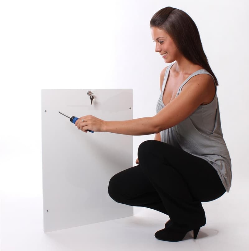 PlexiDor X-Large Pet Door with Lock for Dogs and Cats