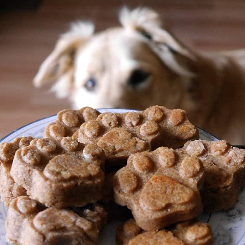 Paw Print Silicone Treat Molds for Baking and Freezing, Set of 4