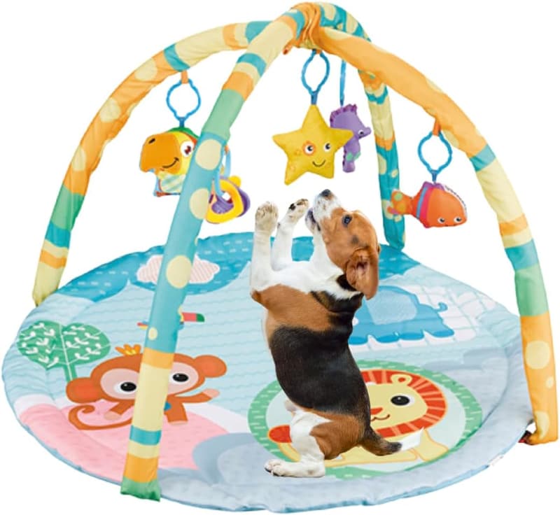 Interactive Sensory Activity Mat for Dogs & Cats with Squeaky Toys