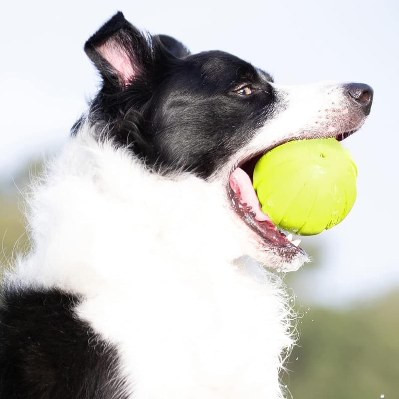 Durable 4-Inch Dog Squeaker Ball Toy for Medium/Large Breeds