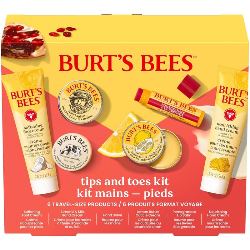 Burt's Bees Travel Size Skincare Kit - 6 Products for Pampering