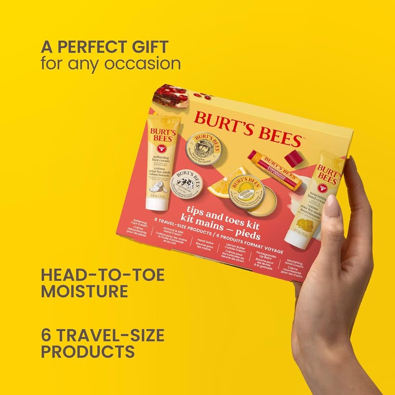 Burt's Bees Travel Size Skincare Kit - 6 Products for Pampering