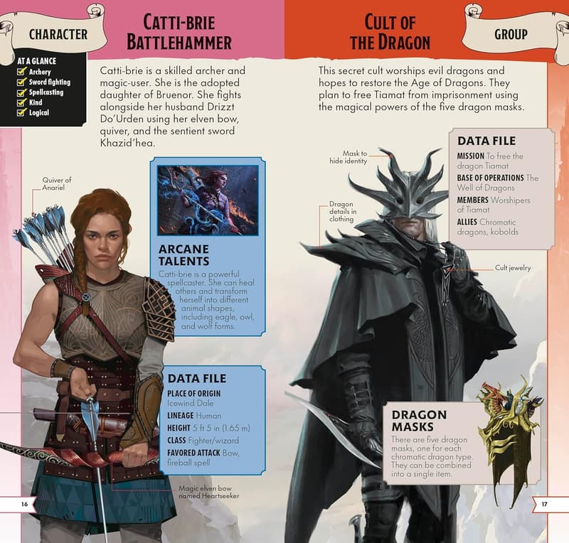 Dungeons & Dragons Pocket Expert Guide