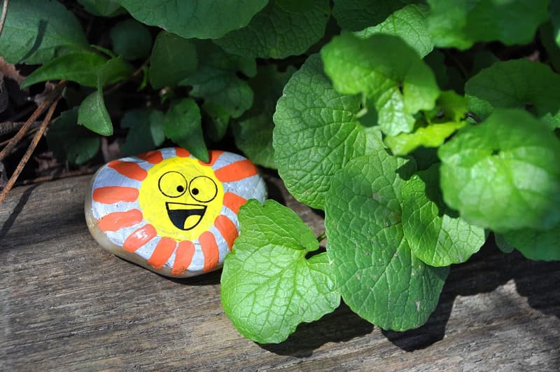 Kids' Rock Painting Kit - Arts & Crafts Activity for Ages 6-8+