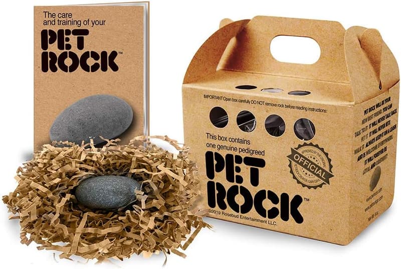The Original Pet Rock by Gary Dahl