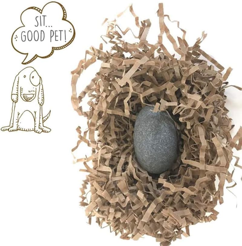 The Original Pet Rock by Gary Dahl