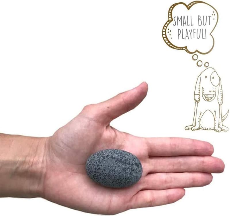 The Original Pet Rock by Gary Dahl