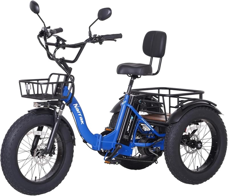 48V 750W Adult Electric Tricycle with Fat Tires
