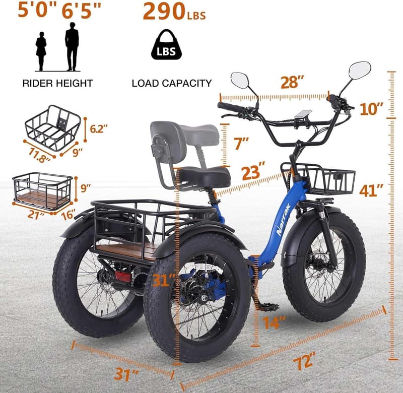 48V 750W Adult Electric Tricycle with Fat Tires