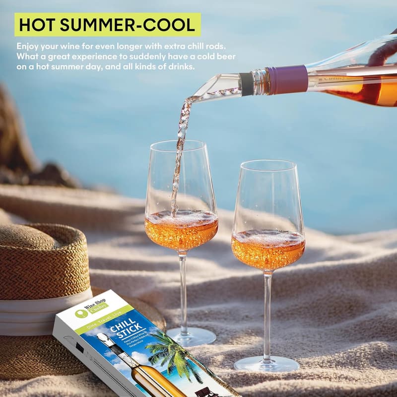 Stainless Steel 3-in-1 Wine Chiller with Aerator & Pourer