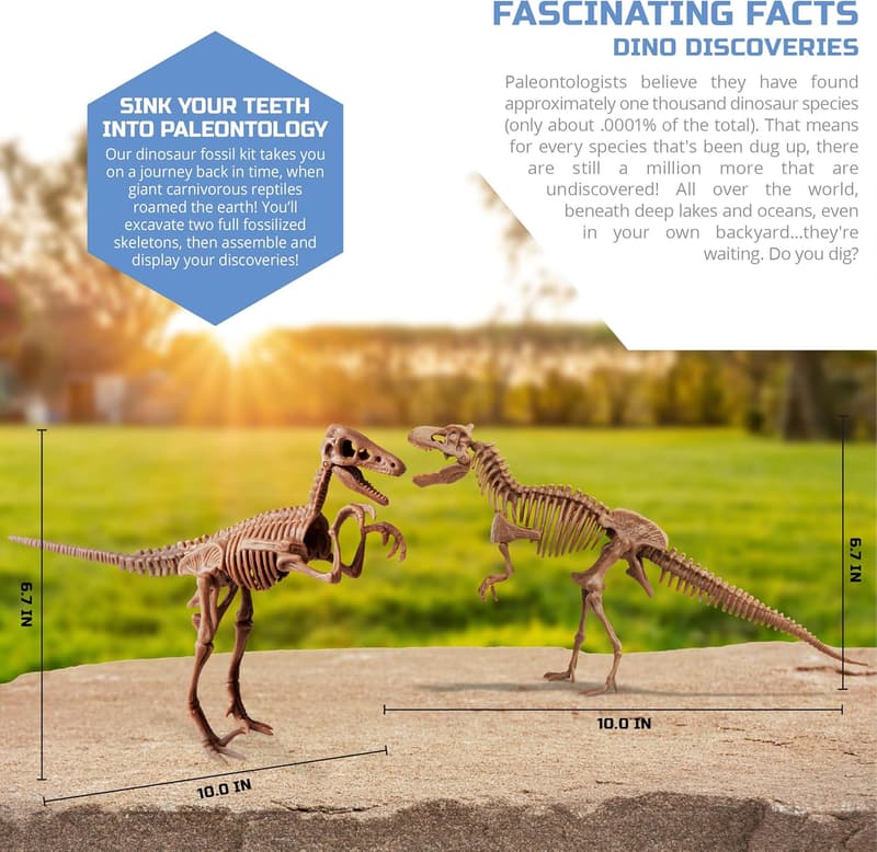 Dinosaur Fossil Dig Kit for Kids - T-Rex & Velociraptor Models