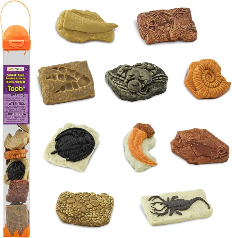 Ancient Fossils Figurines TOOB - Educational Toys for Kids 3+