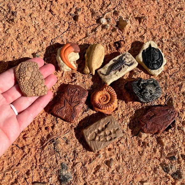 Ancient Fossils Figurines TOOB - Educational Toys for Kids 3+