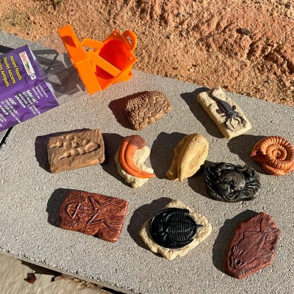 Ancient Fossils Figurines TOOB - Educational Toys for Kids 3+