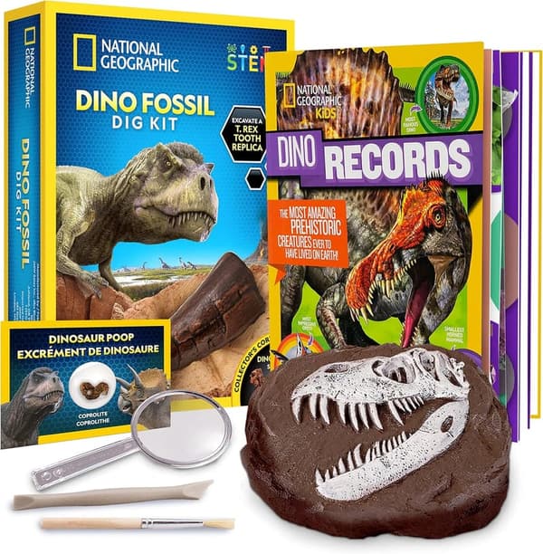 Dinosaur Fossil Dig Kit with Activity Book for Kids