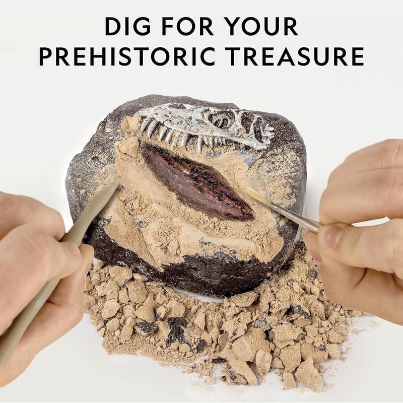 Dinosaur Fossil Dig Kit with Activity Book for Kids