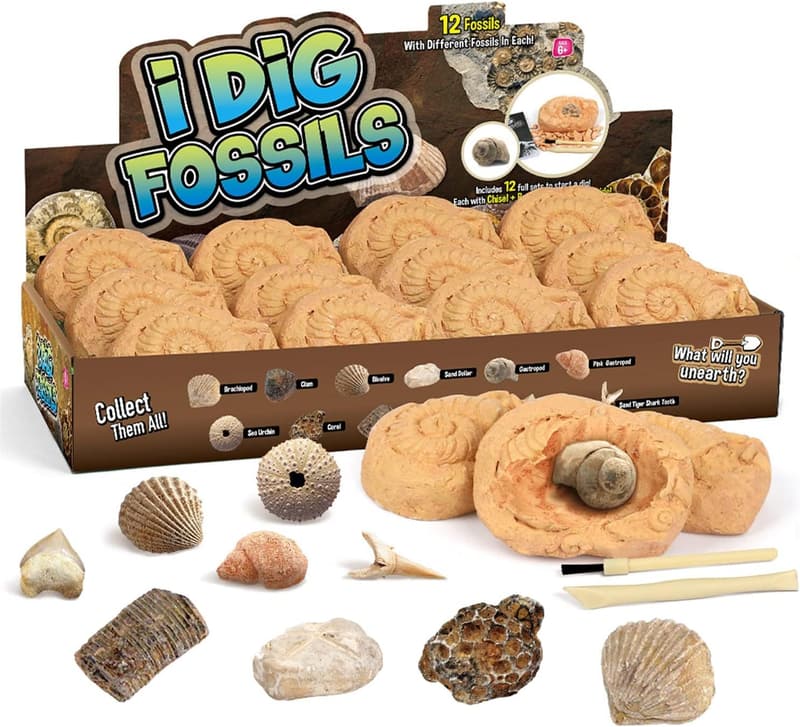 Fossil Dig Kit for Kids 6+ - STEM Paleontology Discovery Set