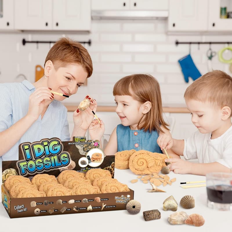 Fossil Dig Kit for Kids 6+ - STEM Paleontology Discovery Set