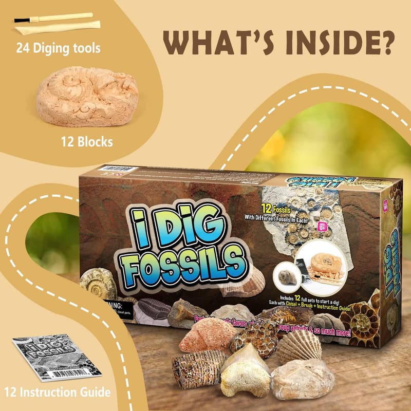 Fossil Dig Kit for Kids 6+ - STEM Paleontology Discovery Set