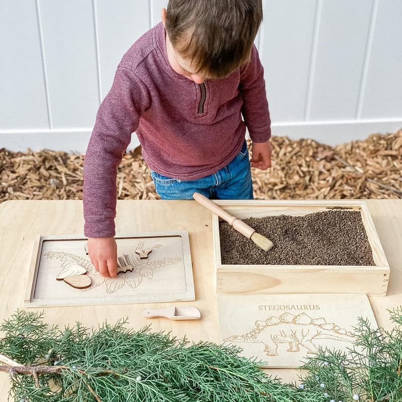 Dinosaur Excavation Kit for Kids - STEM Fossil Discovery Fun
