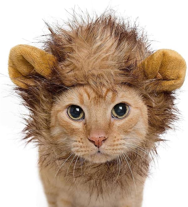 Cat Lion Mane Costume for Halloween - Fits Neck 8”-14”