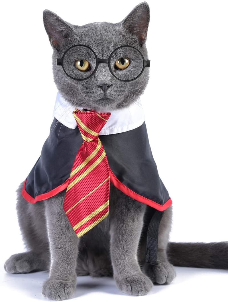 Halloween Wizard Cat Costume for Small Dogs - Cute Puppy Shirt