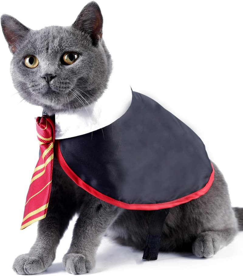 Halloween Wizard Cat Costume for Small Dogs - Cute Puppy Shirt