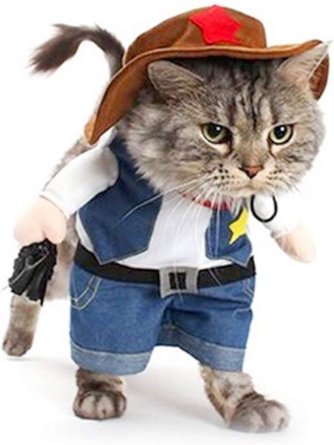 Halloween Cat Cowboy Hat Costume for Cats & Small Dogs
