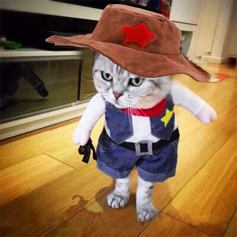 Halloween Cat Cowboy Hat Costume for Cats & Small Dogs