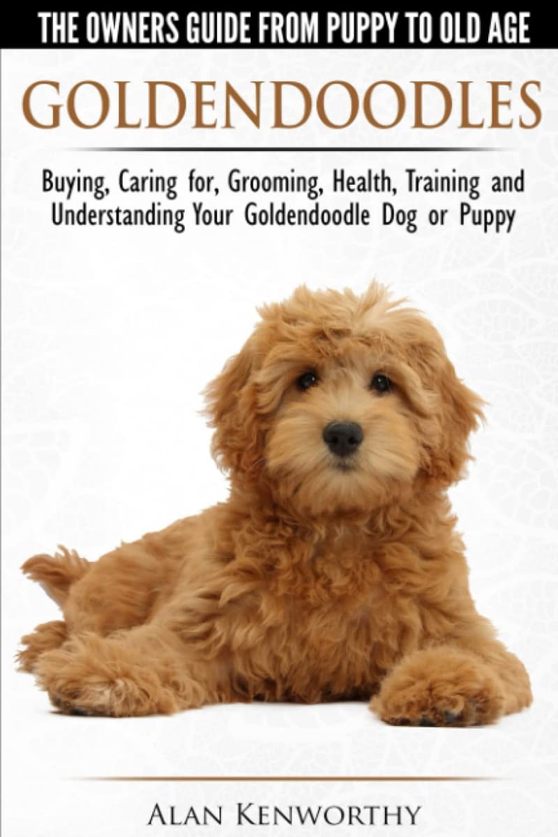 Goldendoodle Owner's Guide: Care, Training & Health Tips