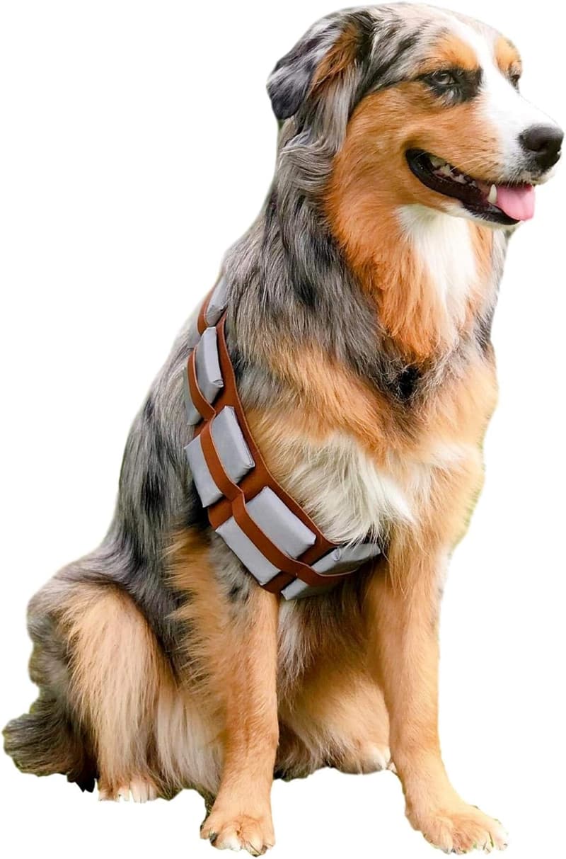 Halloween Dog Costume Utility Belt - Adjustable French Lab