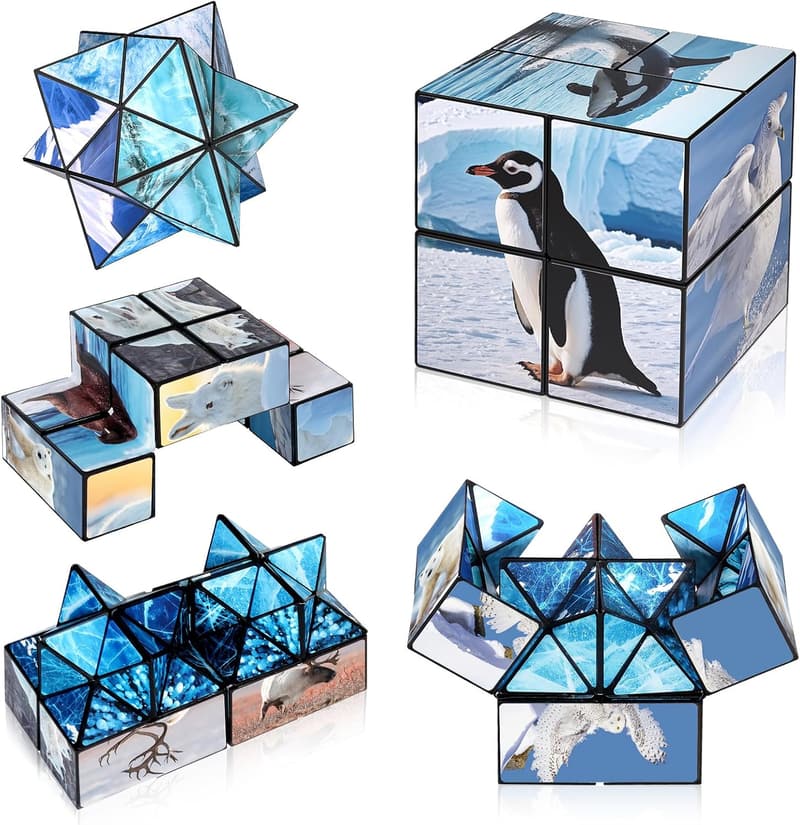 Infinity Cube Fidget Toy Set with Arctic Animals for Ages 8-12