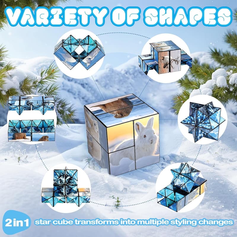 Infinity Cube Fidget Toy Set with Arctic Animals for Ages 8-12