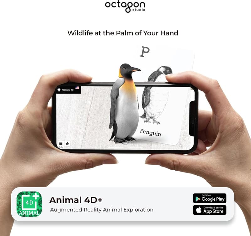 Interactive 4D Animal Alphabet Cards for Kids - Ages 3+