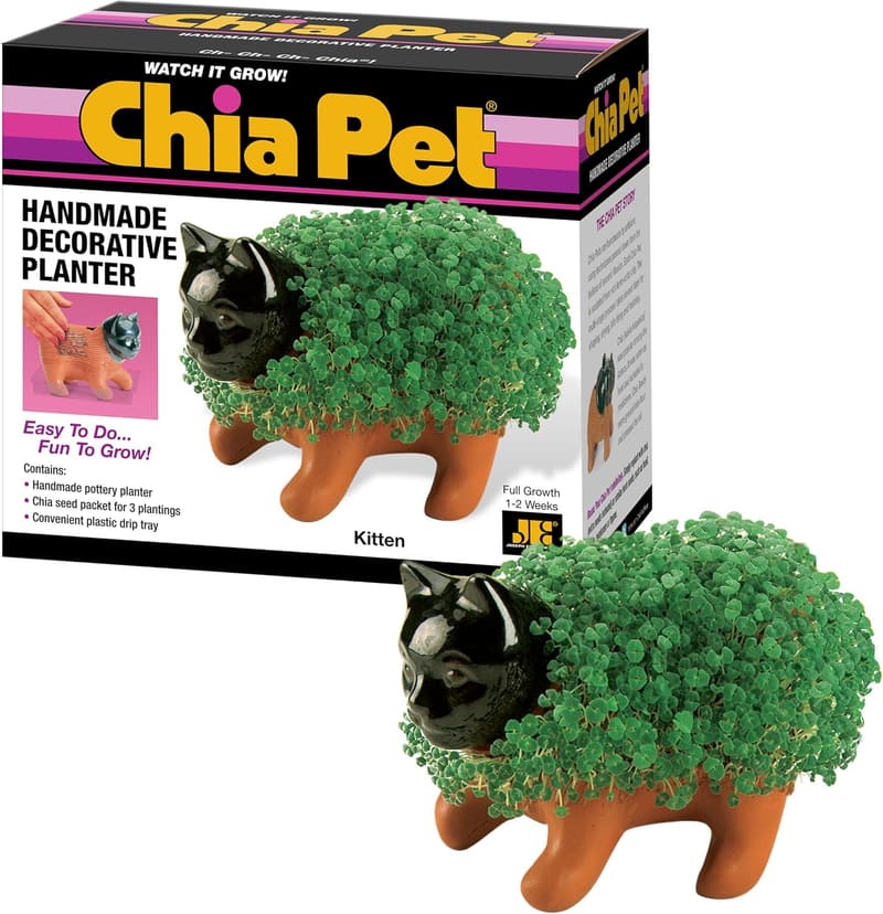 Chia Pet Kitten Planter Kit – Fun Growable Novelty Gift