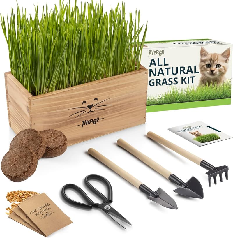 Indoor Cat Grass Kit with Planter, Soil & Tools - Pet-Safe Wheatgrass