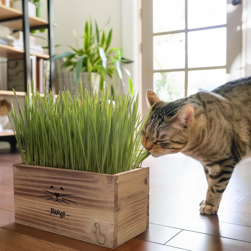 Indoor Cat Grass Kit with Planter, Soil & Tools - Pet-Safe Wheatgrass