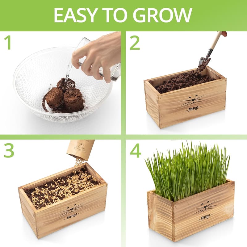 Indoor Cat Grass Kit with Planter, Soil & Tools - Pet-Safe Wheatgrass
