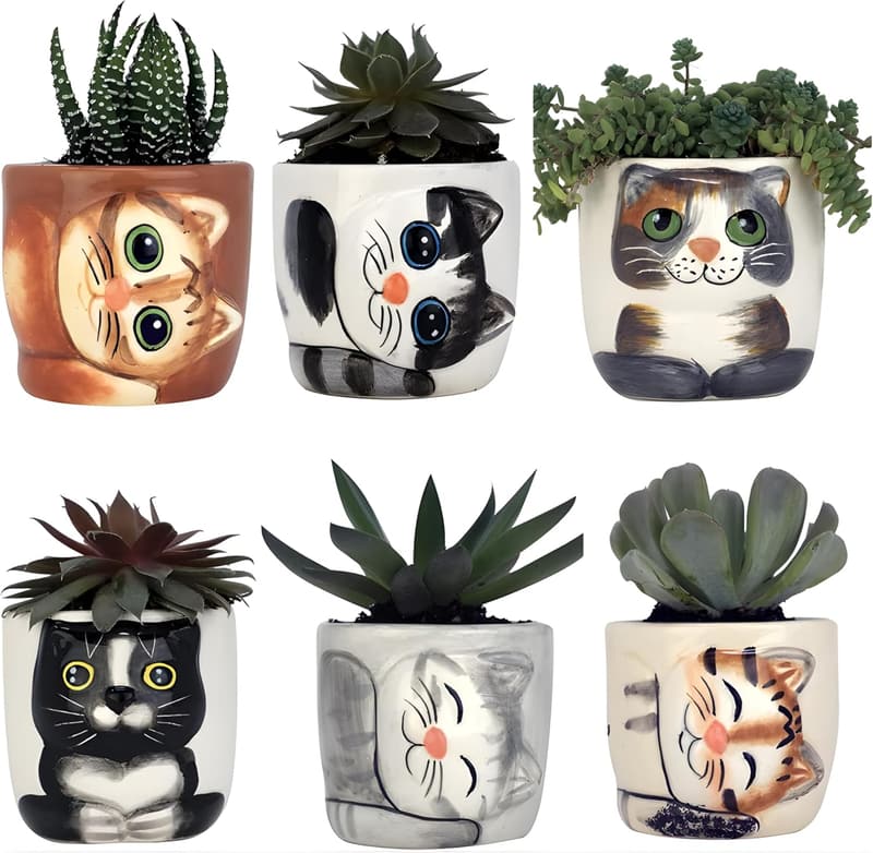 Cute Cat Planter Set - 6 Mini Succulent Pots for Indoor Plants