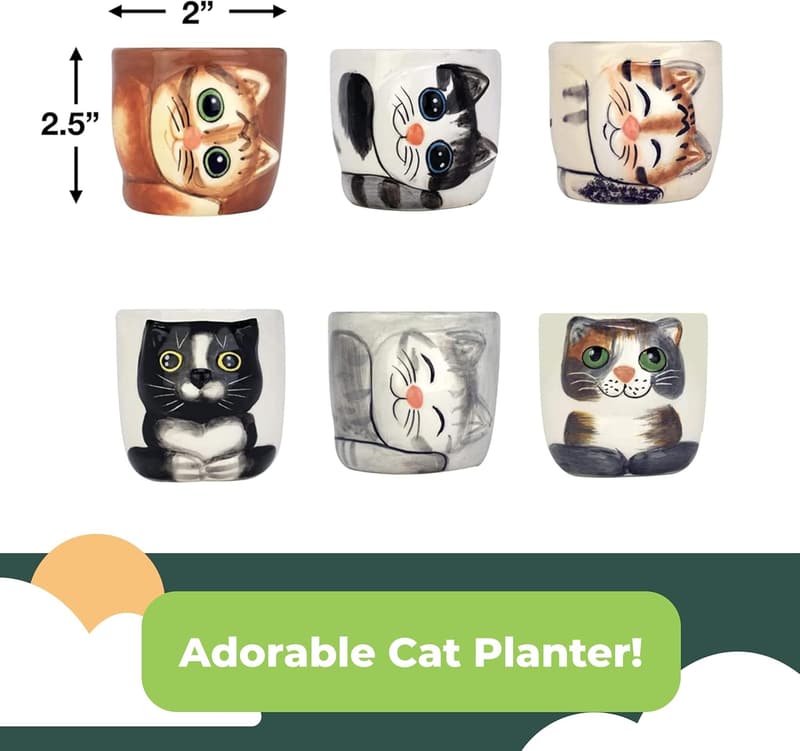 Cute Cat Planter Set - 6 Mini Succulent Pots for Indoor Plants