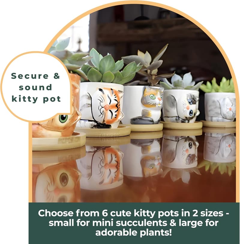 Cute Cat Planter Set - 6 Mini Succulent Pots for Indoor Plants
