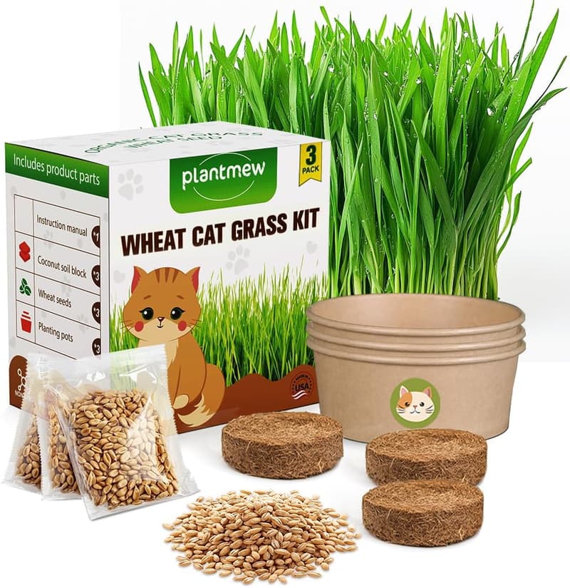 Organic Cat Grass Growing Kit for Indoor Cats - Natural Hairball Control