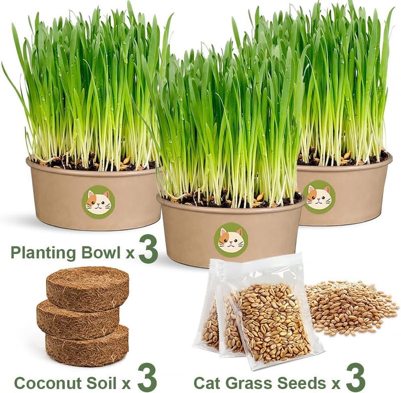Organic Cat Grass Growing Kit for Indoor Cats - Natural Hairball Control